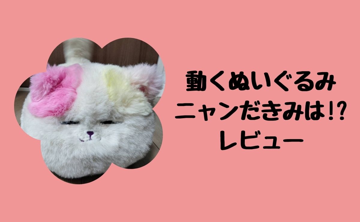 ニャンだきみは！？ ｜ ピノチオブランド ｜株式会社 アガツマ